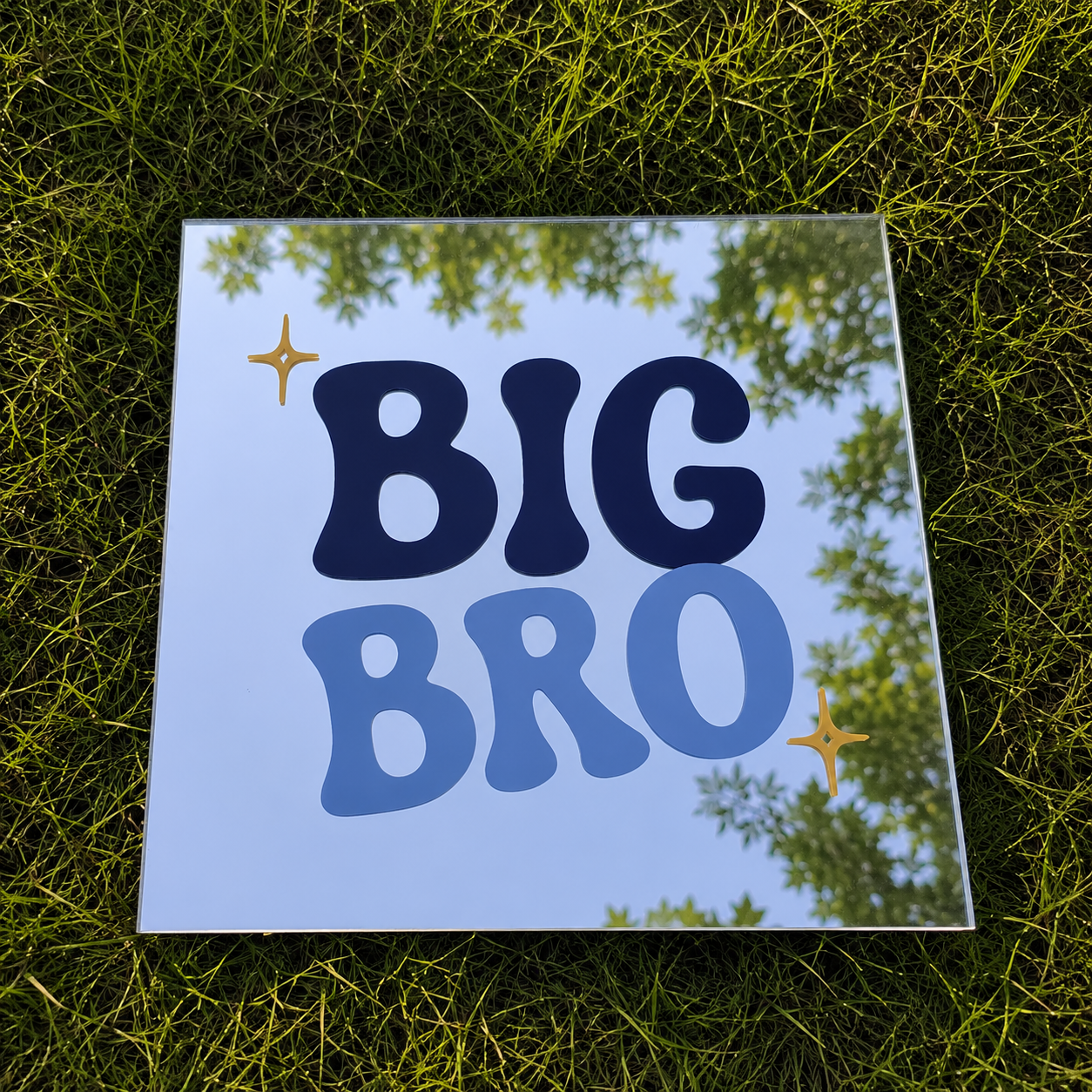 Big Bro