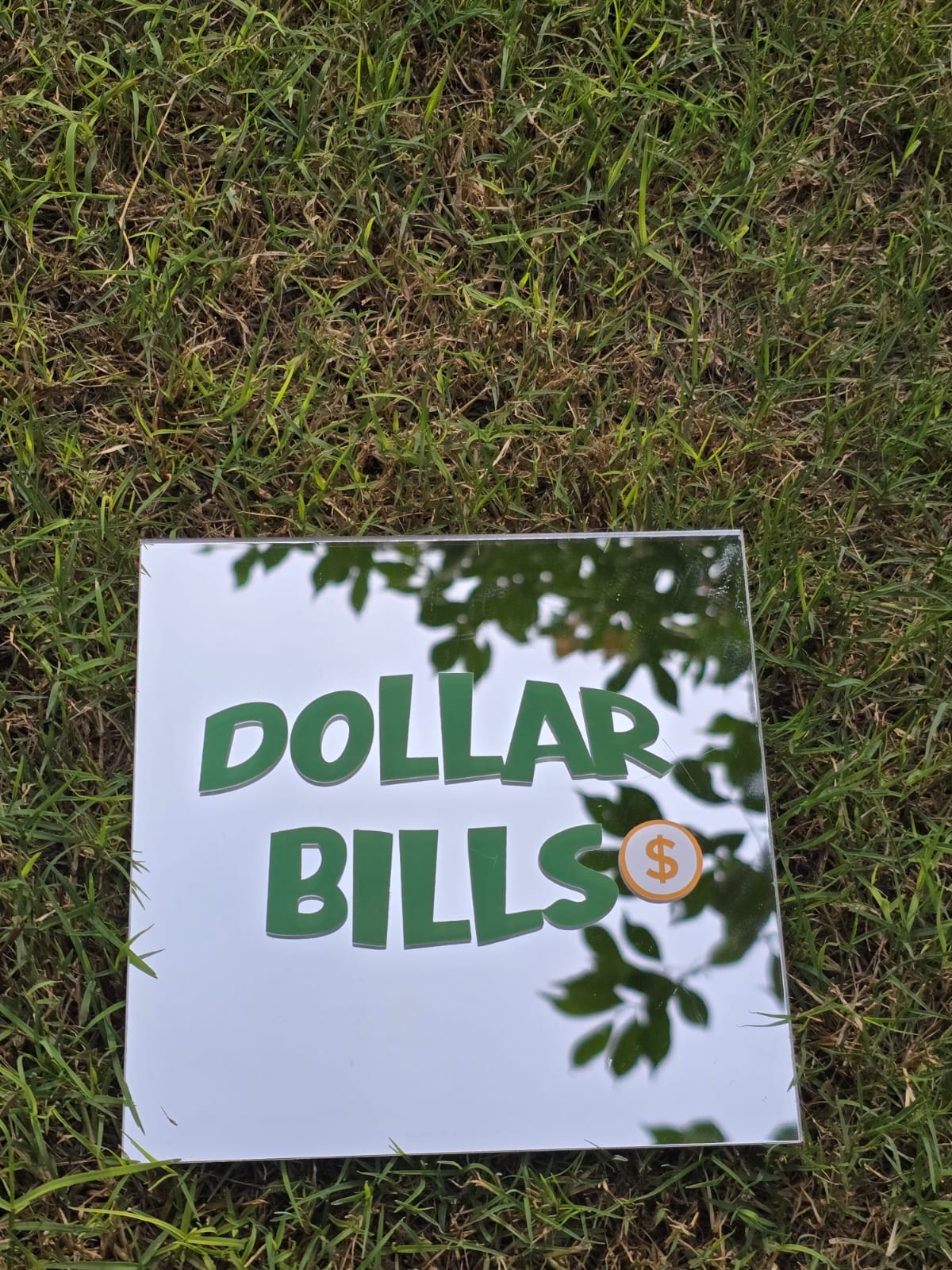 Dollar Bills