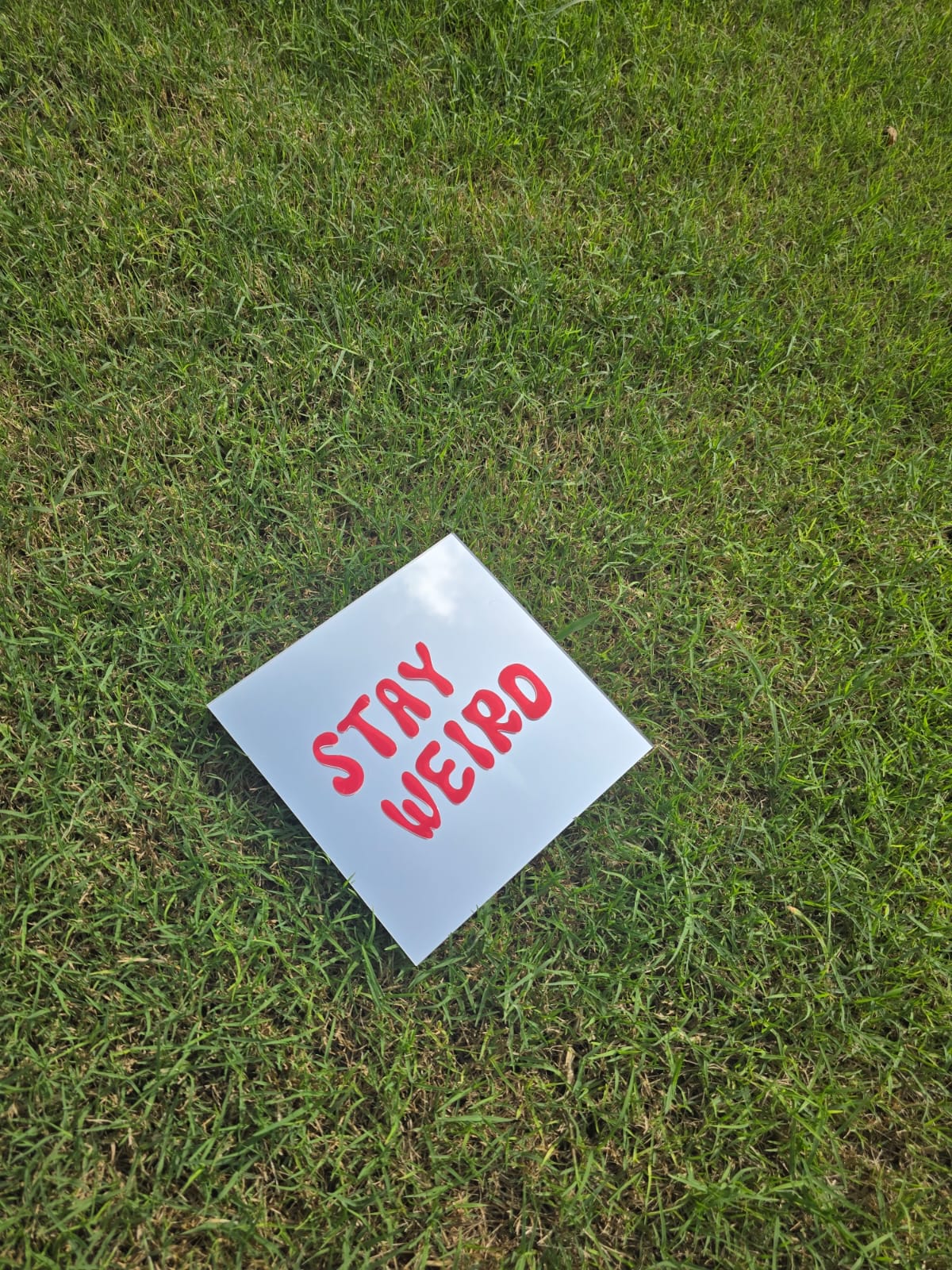 Stay Weird